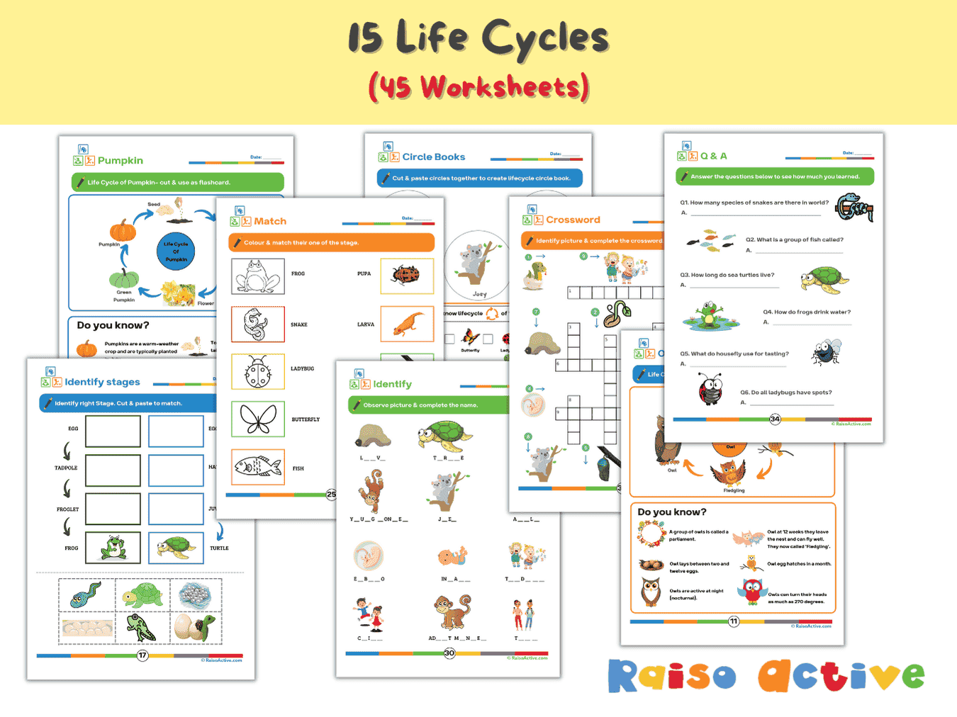 Life Cycle - Thumbnail