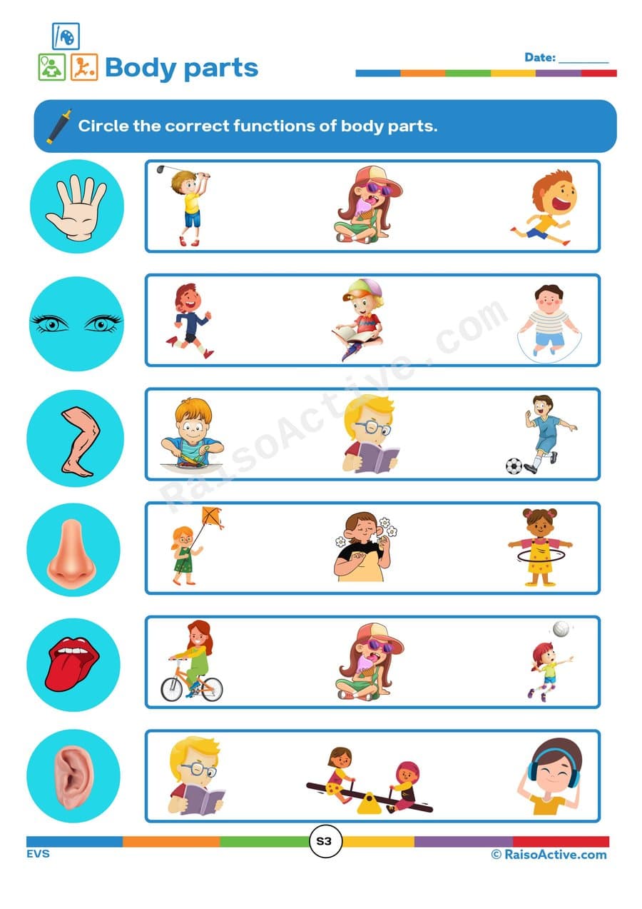 Body Parts Functions Worksheet for Kids