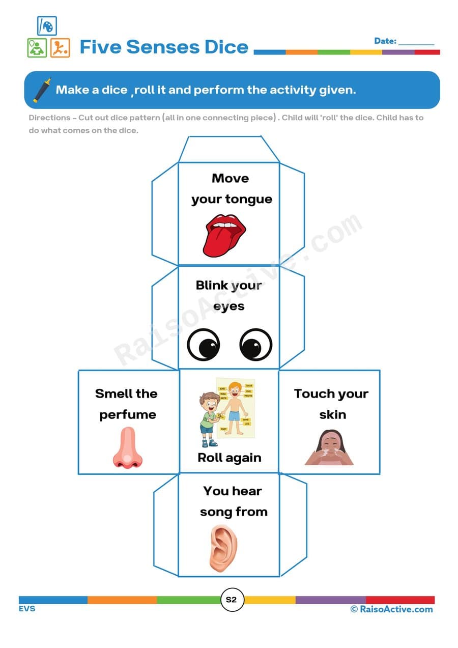 Five Senses Dice Activity: Roll and Explore!