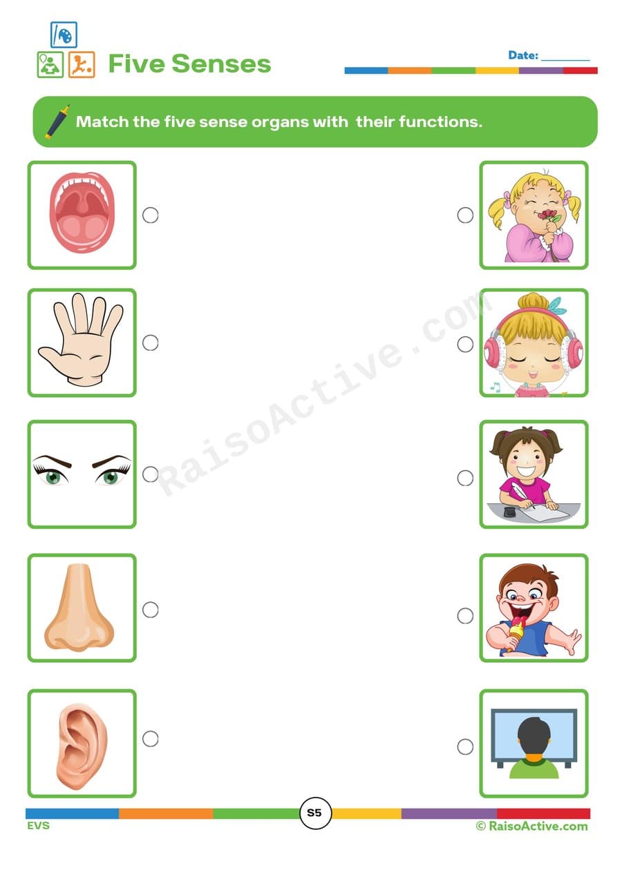 Five Senses Matching Worksheet for Preschoolers