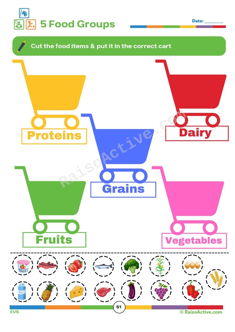 Food Groups Sorting Worksheet for Preschoolers