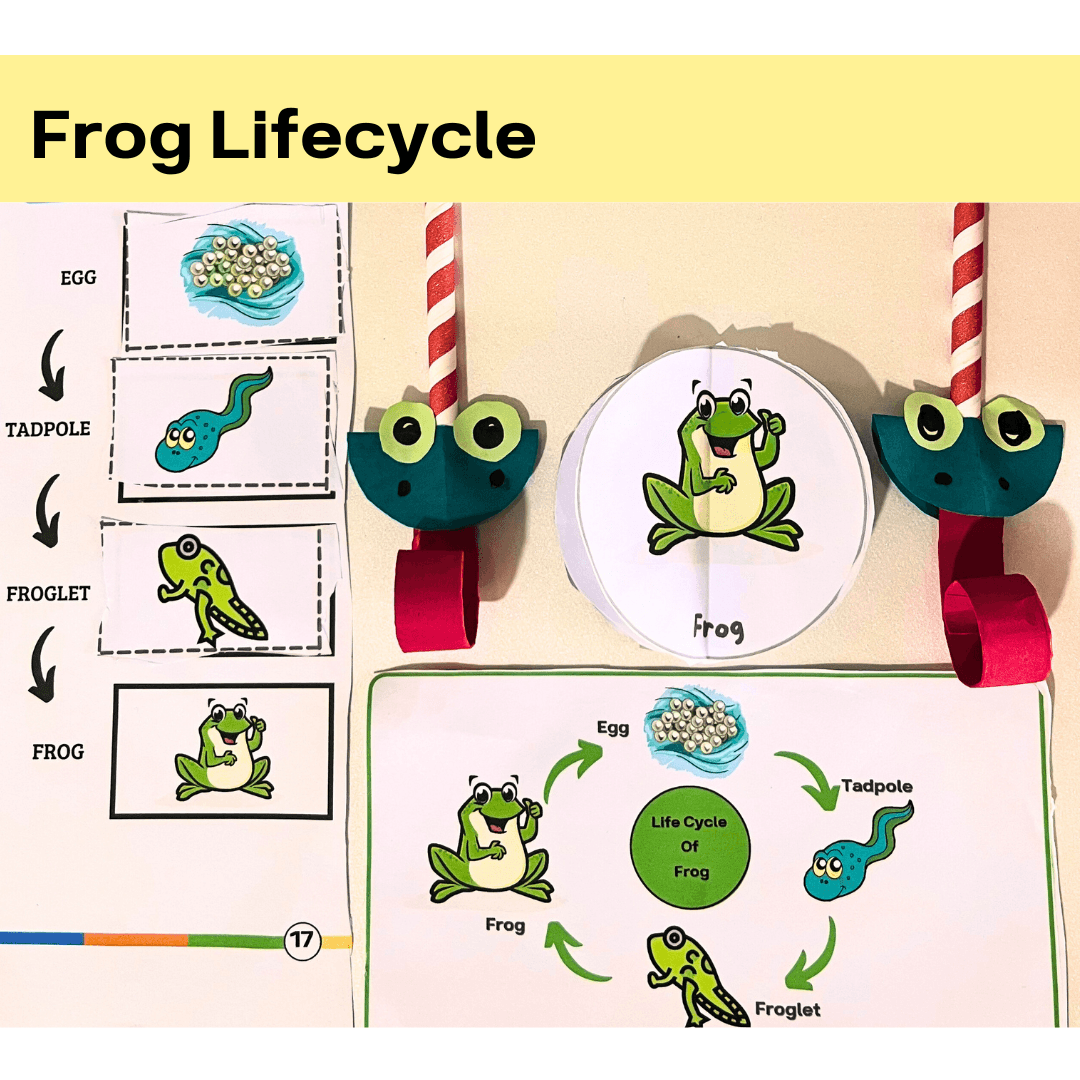 Frog Lifecycle Activities - Thumbnail