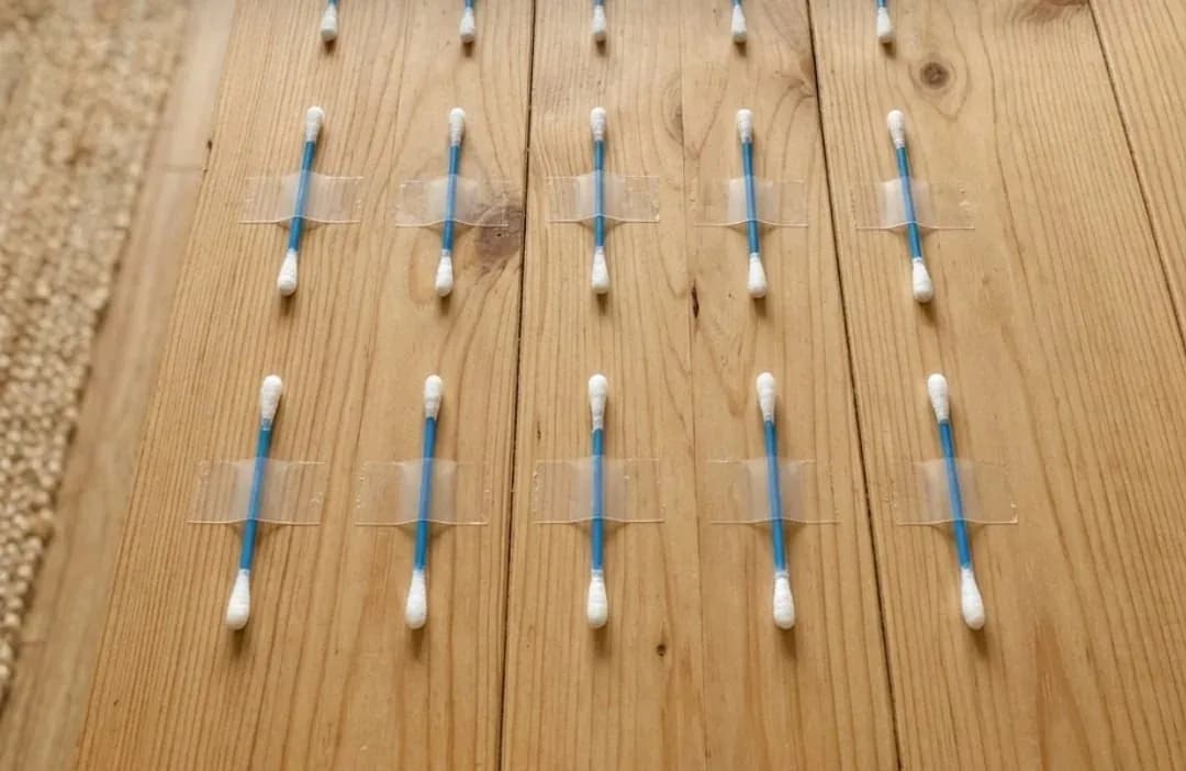 Rows of cotton buds taped to a wooden floor, ready for a peel-the-tape activity