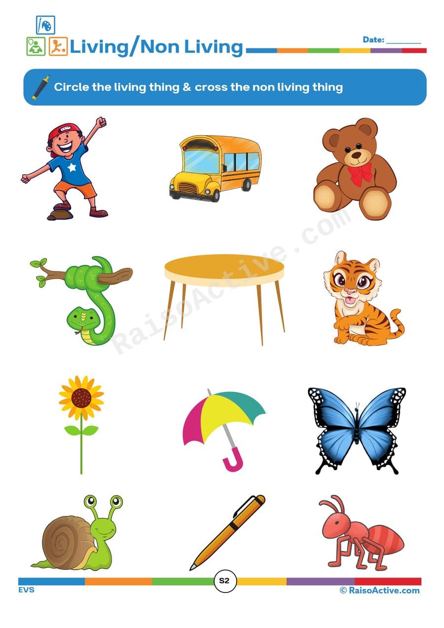 Living and Non-Living Things Worksheet for Kids