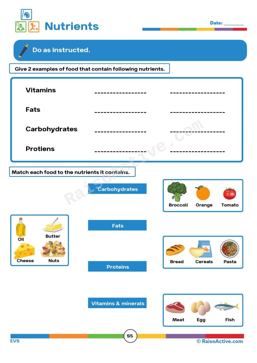 Nutrient Match: Food Examples Worksheet for Kids