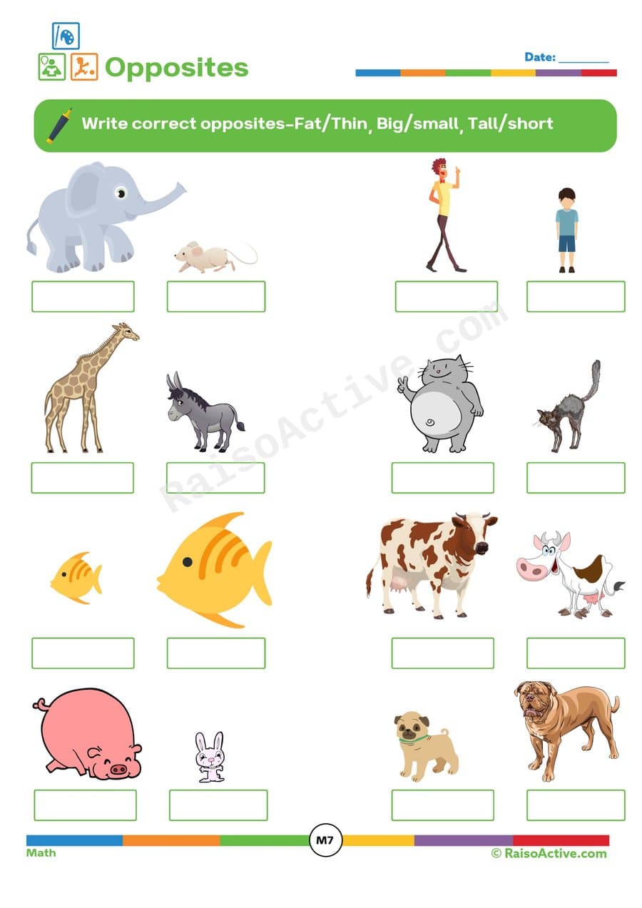 Opposites Worksheet: Fat/Thin, Big/Small, Tall/Short