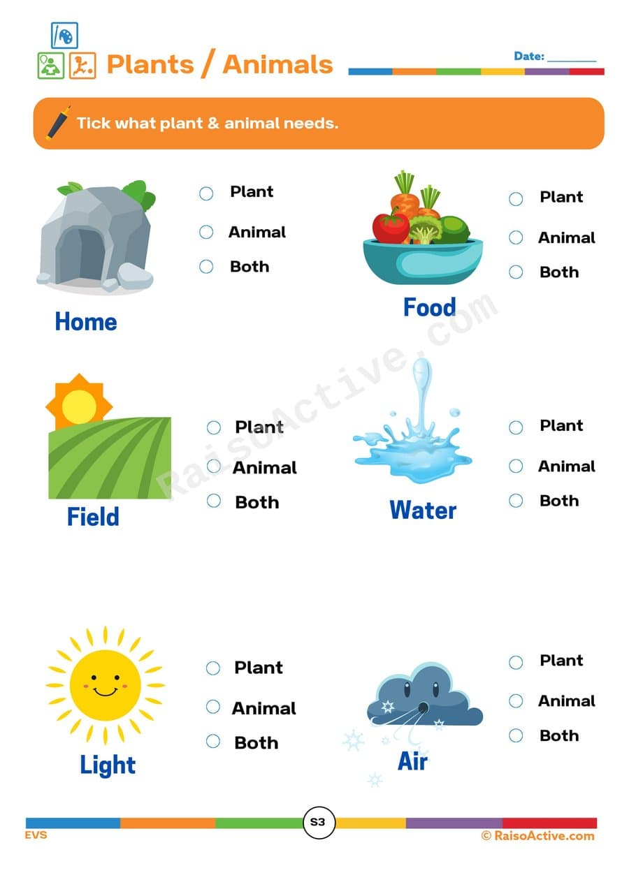 Plants and Animals Needs Worksheet for Kids