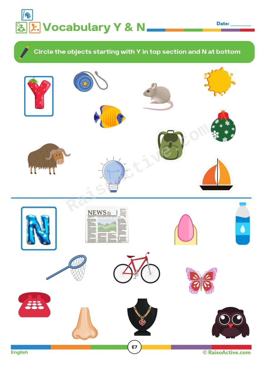 Y and N Vocabulary Worksheet: Circle the Objects!