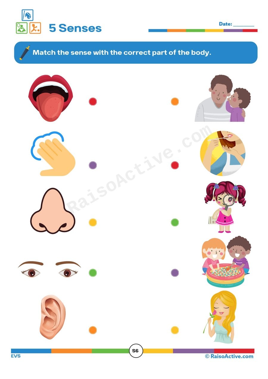 5 Senses Matching Worksheet for Preschoolers