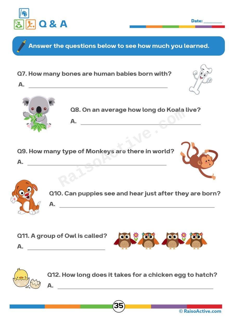 Animal Facts Worksheet for Kids: Fun Q&A!