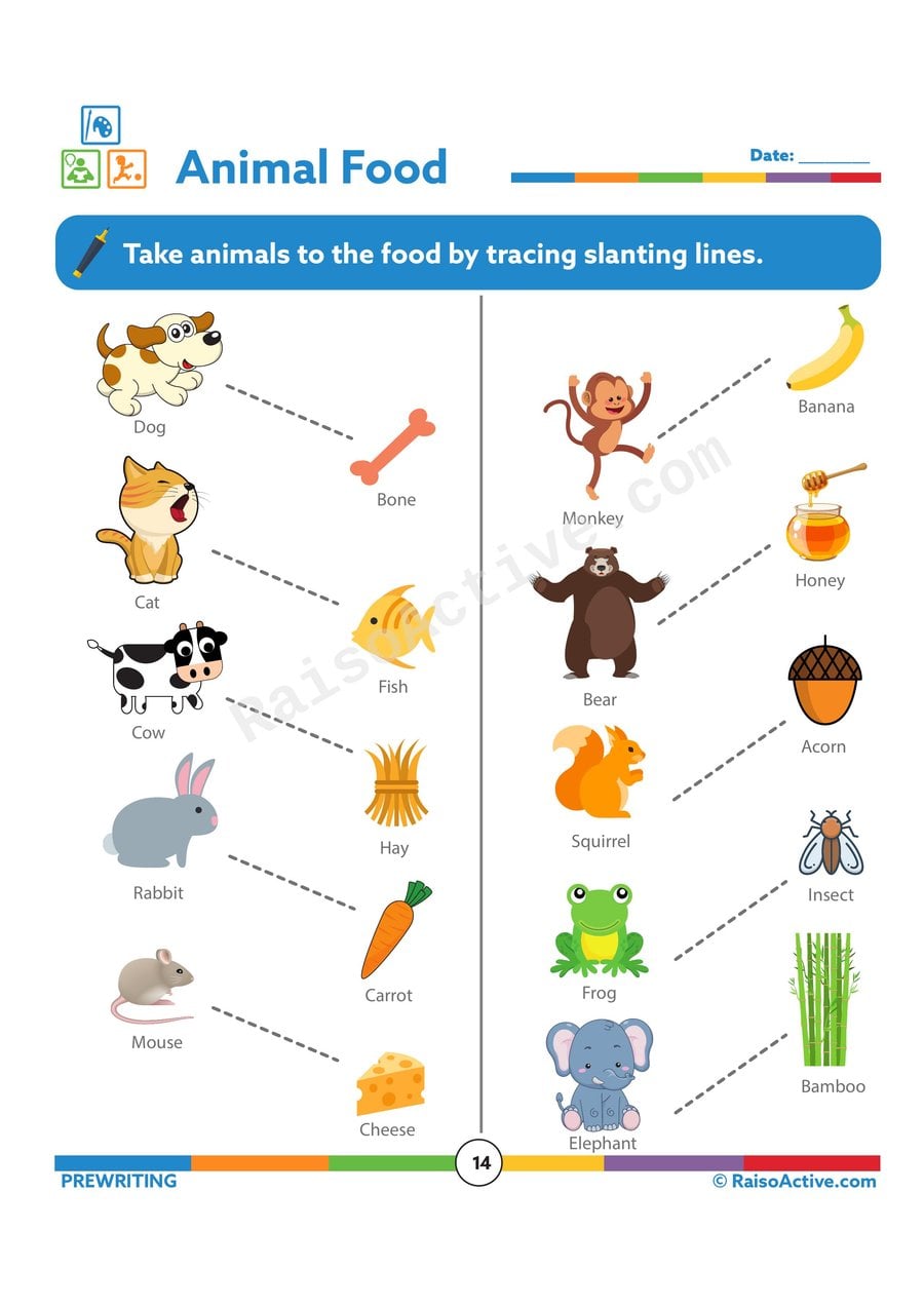 Animal Food Matching Worksheet for Preschoolers
