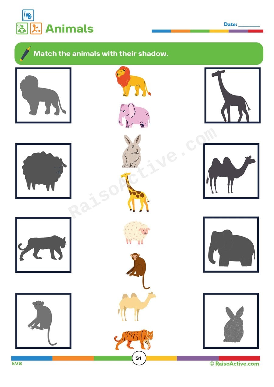 Animal Shadow Match Worksheet for Preschoolers