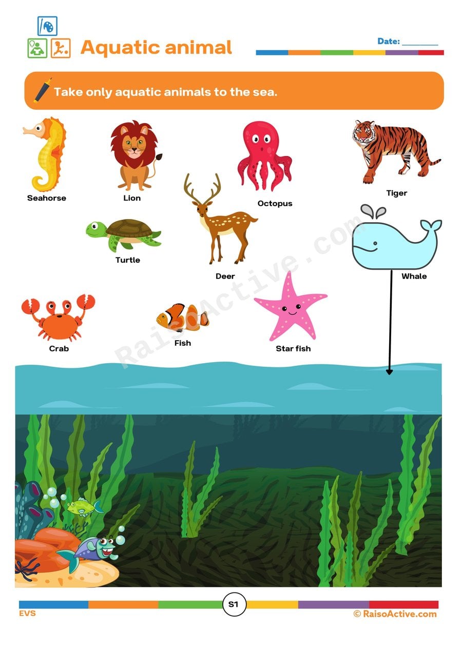 Aquatic Animals Worksheet: Sorting Sea Creatures!