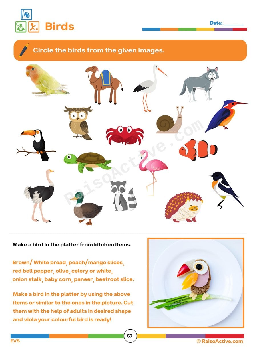 Bird Spotting Worksheet: Circle the Birds!