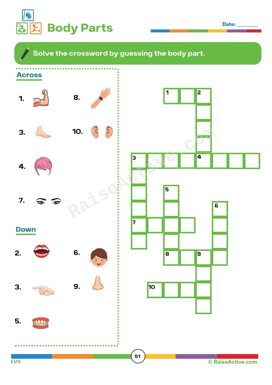Body Parts Crossword Puzzle Worksheet for Kids