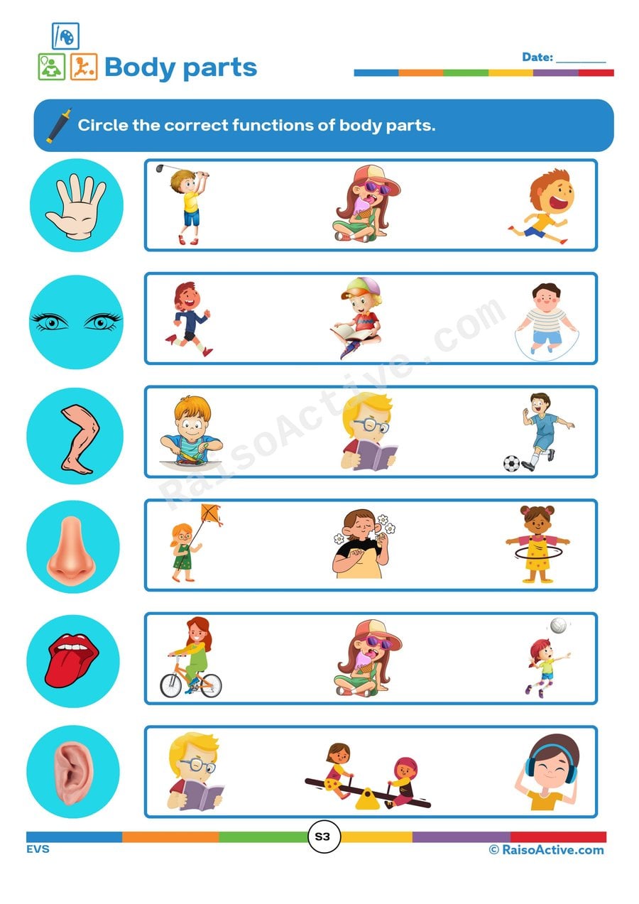 Body Parts Functions Worksheet for Kids