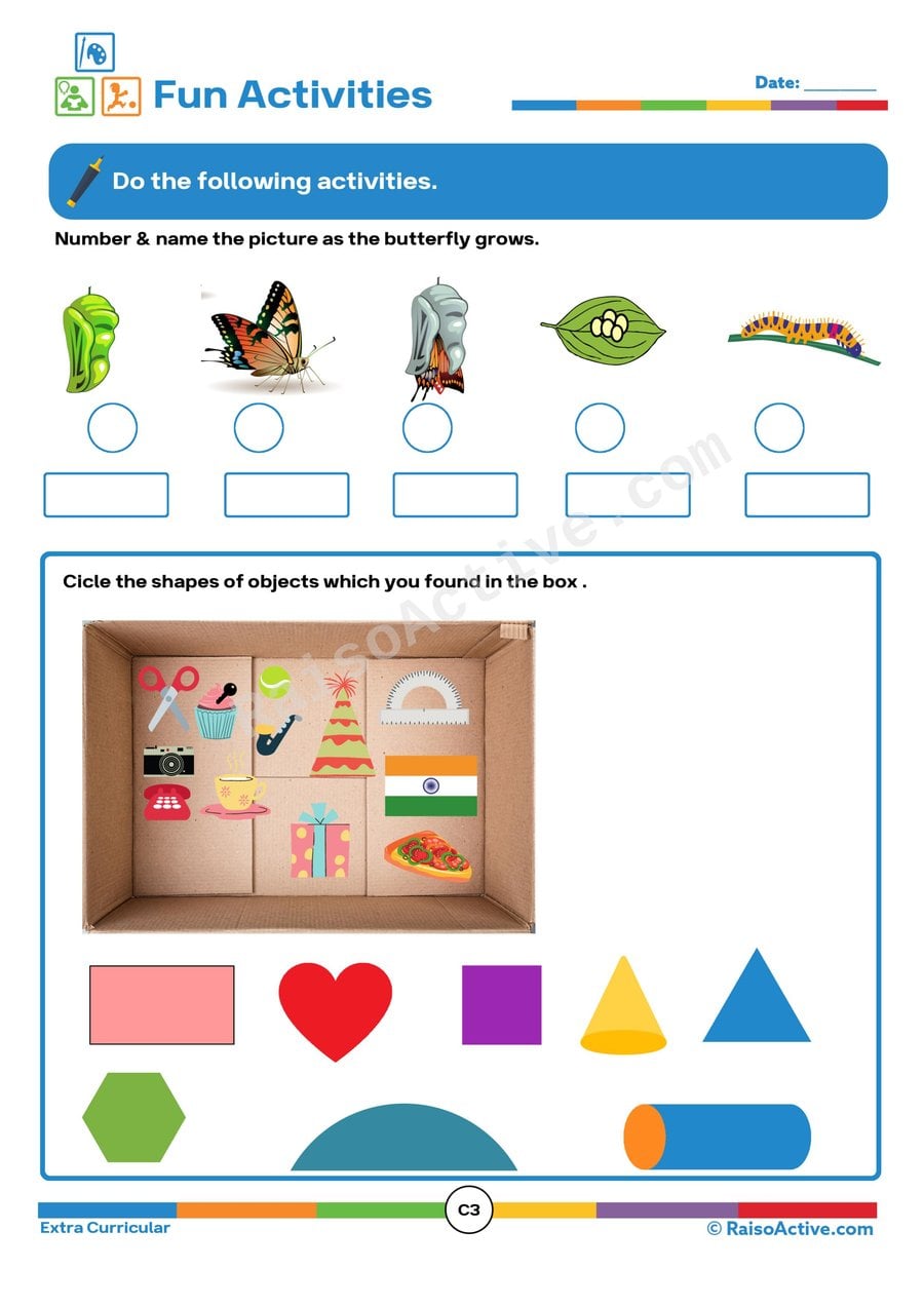Butterfly Life Cycle Worksheet for Kids