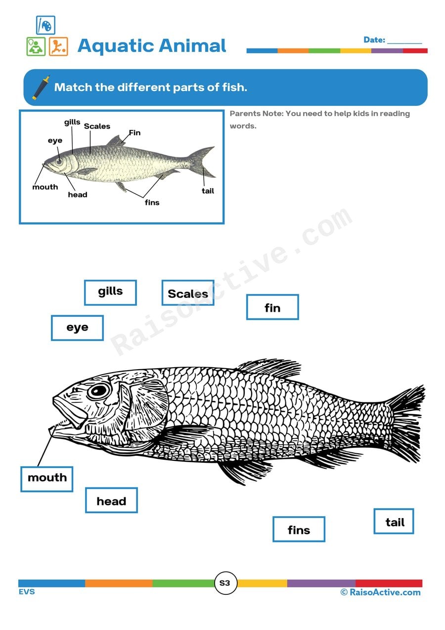 Fish Parts Matching Worksheet for Preschoolers