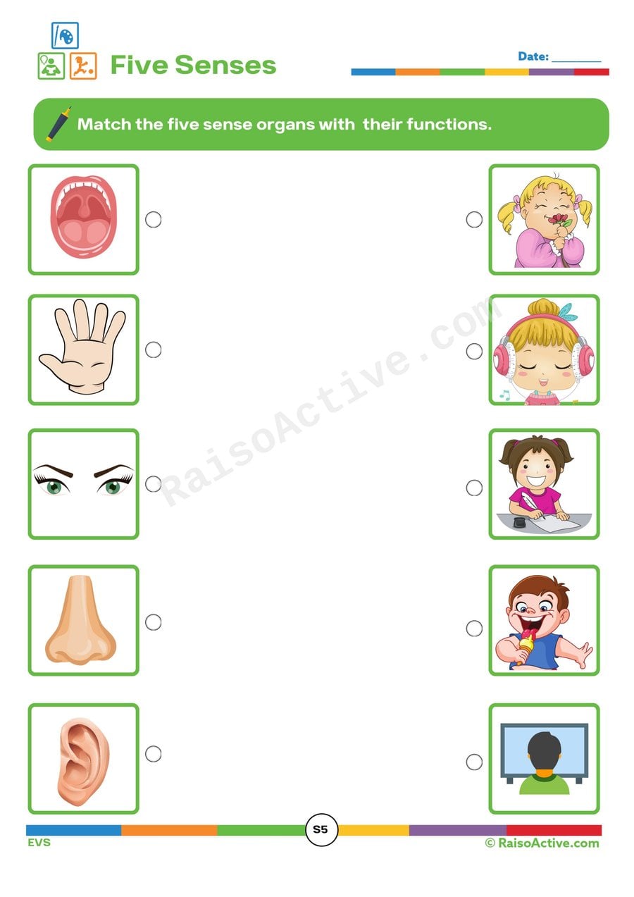 Five Senses Matching Worksheet for Preschoolers