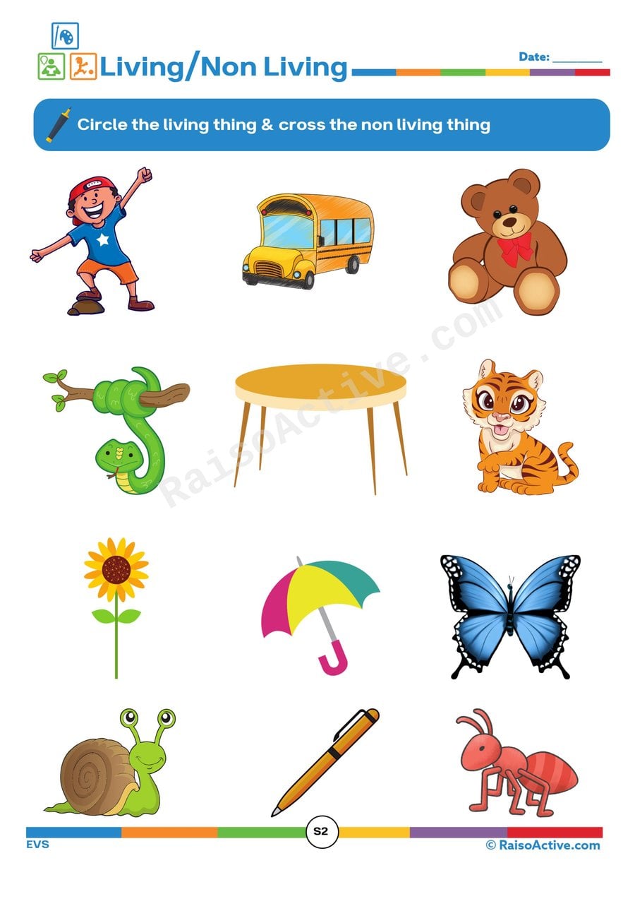Living and Non-Living Things Worksheet for Kids
