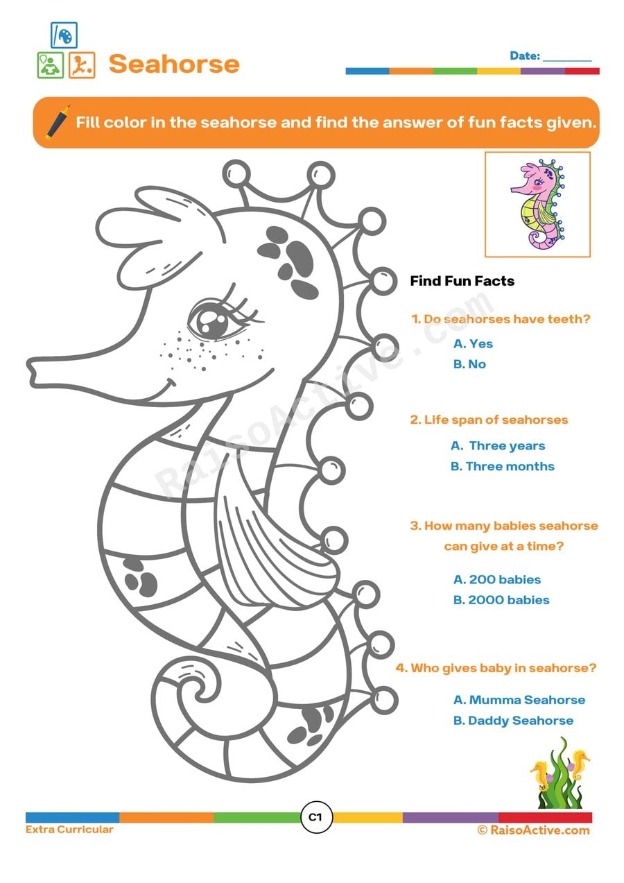 Seahorse Fun Facts Worksheet for Kids