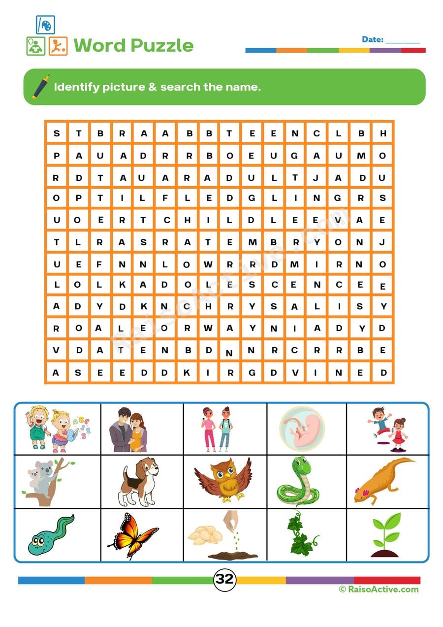 Word Search Worksheet: Find the Hidden Words!
