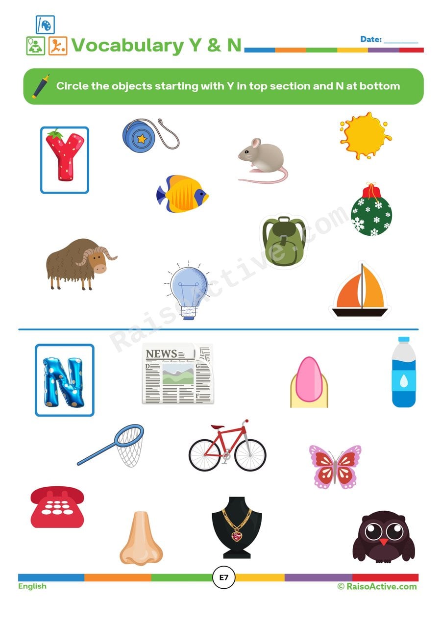 Y and N Vocabulary Worksheet: Circle the Objects!