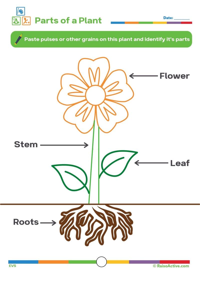 Hands-On Early Learning Activity Book: Math, Science, Literacy & Emotions for Ages 3-6 - Page 3